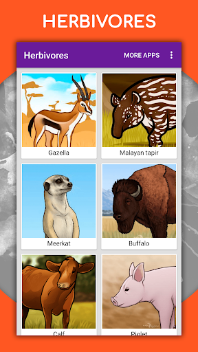 How to draw animals by steps