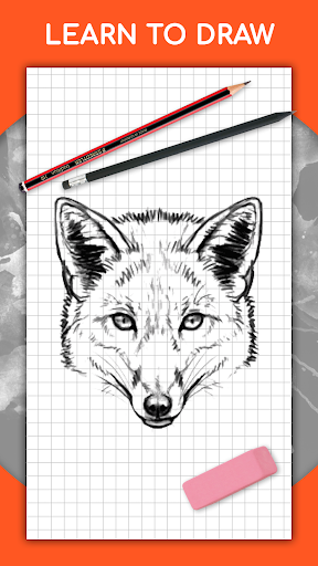 How to draw animals by steps